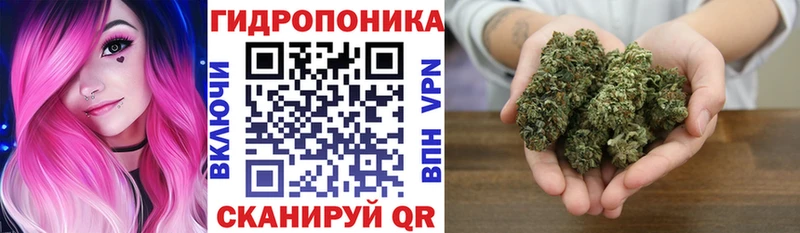 Как найти закладки Карабаново СОЛЬ  МЕФ  Гашиш  Псилоцибиновые грибы  Кокаин  Каннабис 