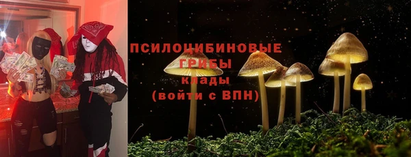 ешки Волоколамск