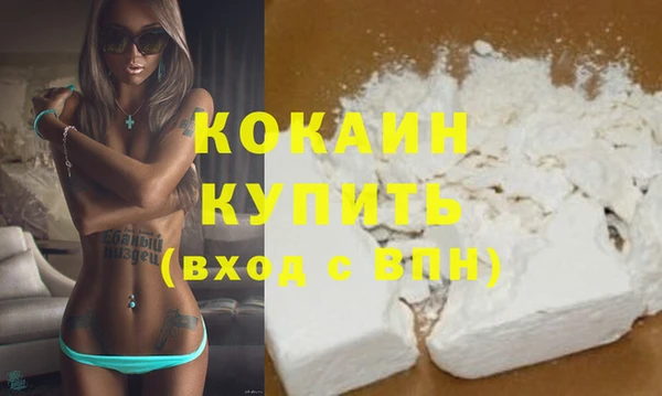 шишки Володарск