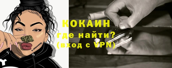 шишки Володарск