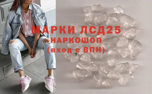шишки Володарск