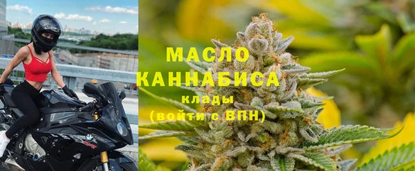 мдпв Вяземский