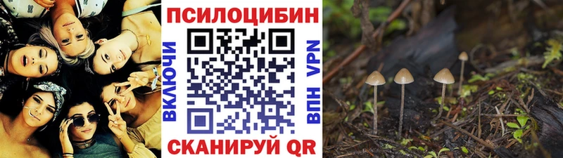 купить наркотики цена  Карабаново  Галлюциногенные грибы GOLDEN TEACHER 